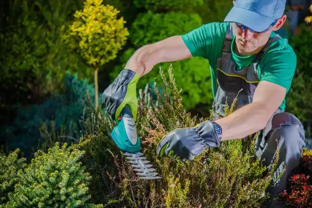 landscaping services Long Beach